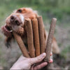 How Many Treats Should I Give My Dog? A Simple Treat Feeding Guide