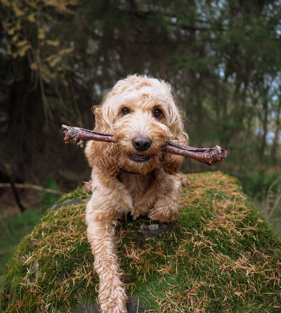 Anco Naturals Goat Tubes