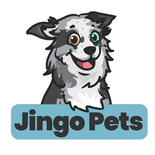Jingo Pets