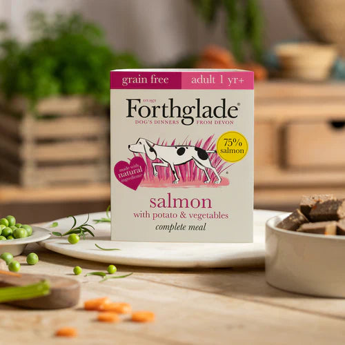 Forthglade Salmon Wet Dog Food in a scenic, nature-inspired setting, representing balanced, natural feeding.