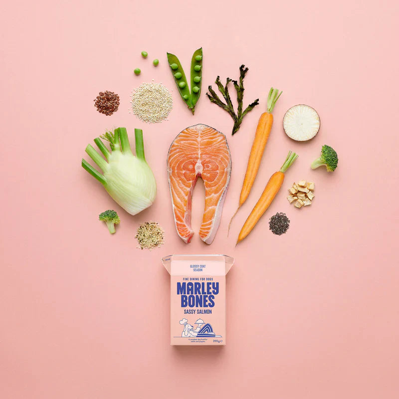 Marleybones Salmon & White Fish dog food packaging with natural ingredients like salmon, white fish, carrots, and superfoods.