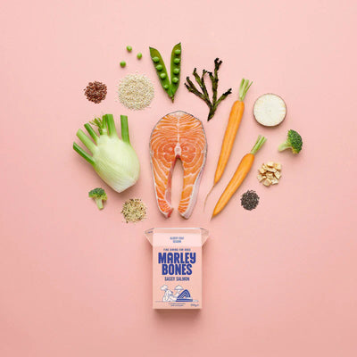 Marleybones Salmon & White Fish dog food packaging with natural ingredients like salmon, white fish, carrots, and superfoods.