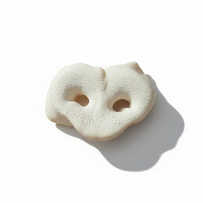 puffed pig snout dog treat