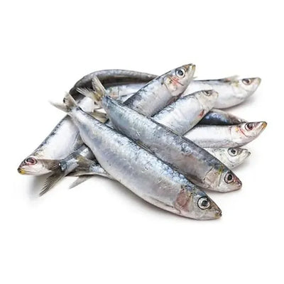 Sardines - 1KG