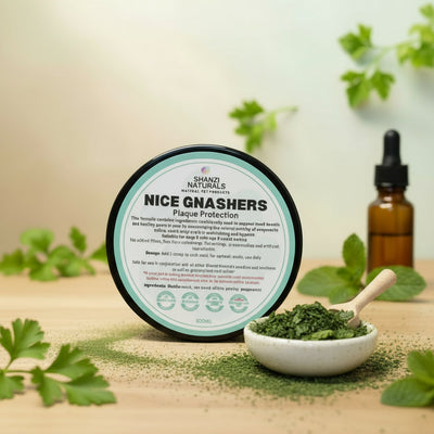 Shanzi Naturals Nice Gnashers Plaque Protection product on a wooden surface with a gray background