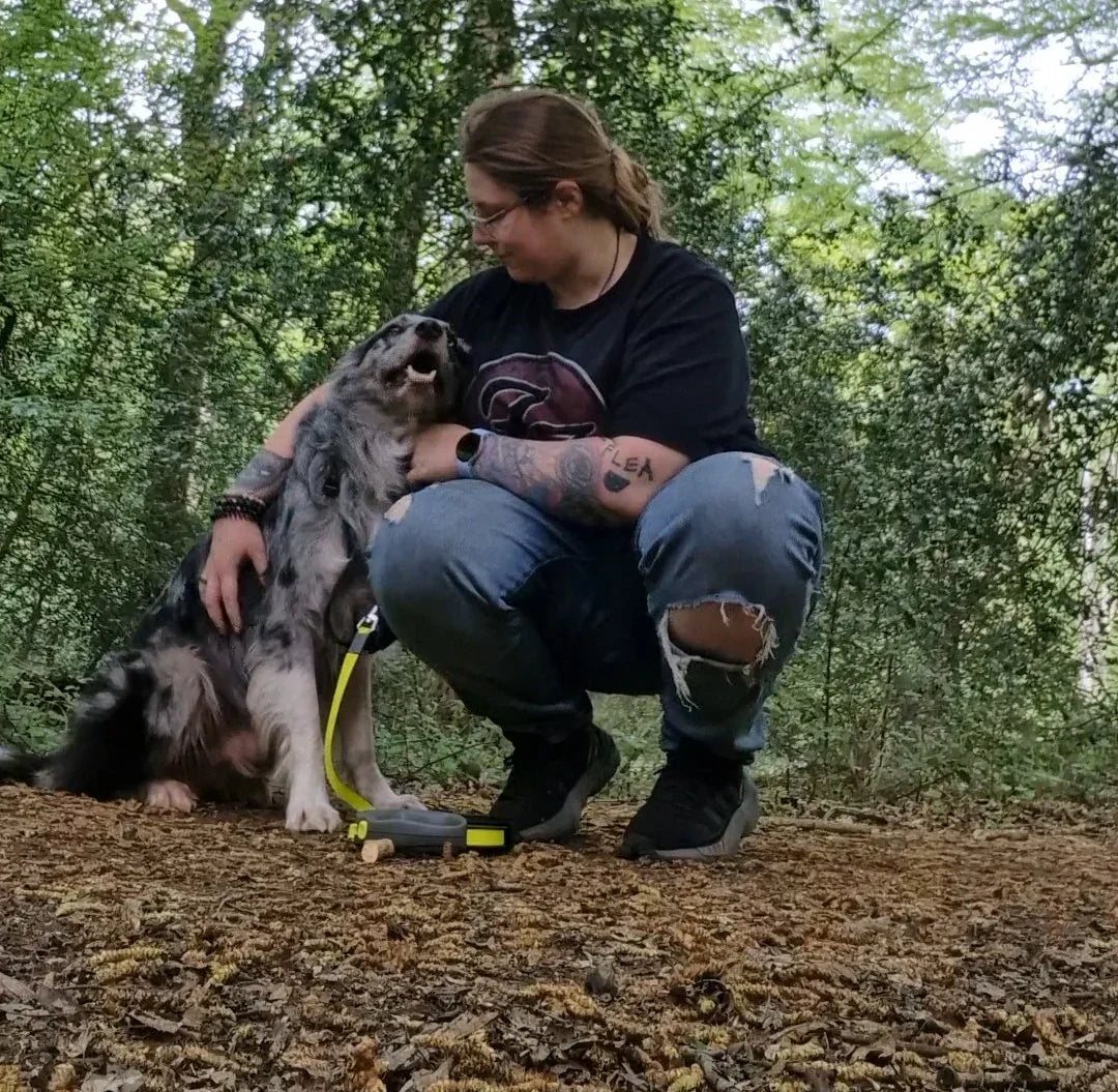 Why We Started Jingo Pets