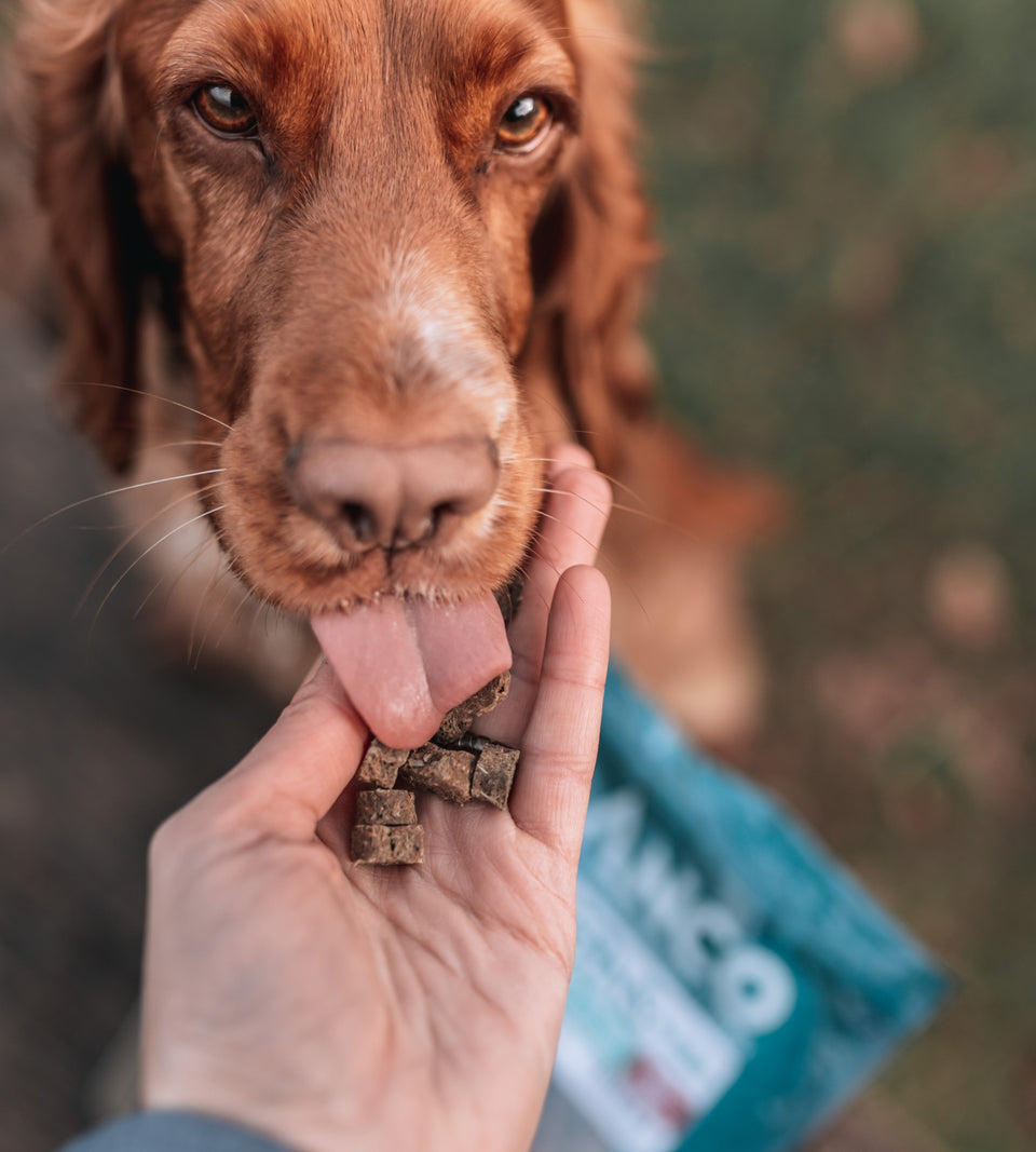 Anco Oceans+ Baltic Herring Buttons with Cranberry 80g