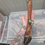 Anco Naturals Giant Deer Leg