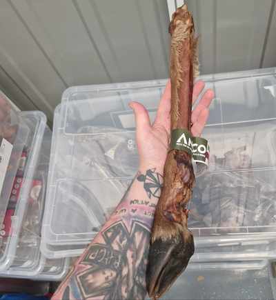 Anco Naturals Giant Deer Leg