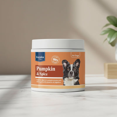 Karnlea Pumpkin & Spice dog product container on a white background