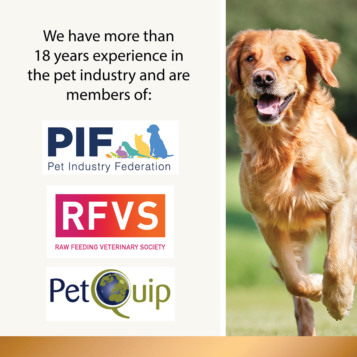 Pumpkin Powder - 200g