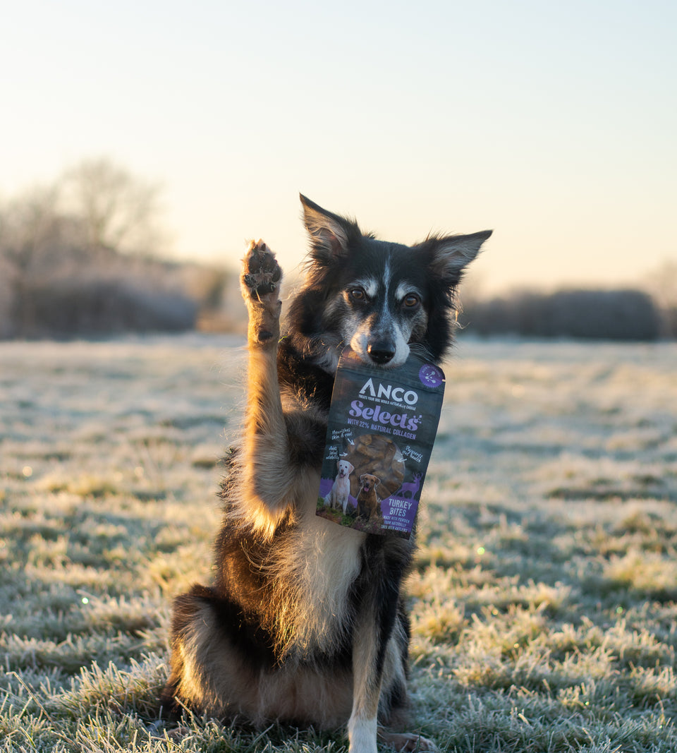 Anco Selects Turkey Bites With Collagen