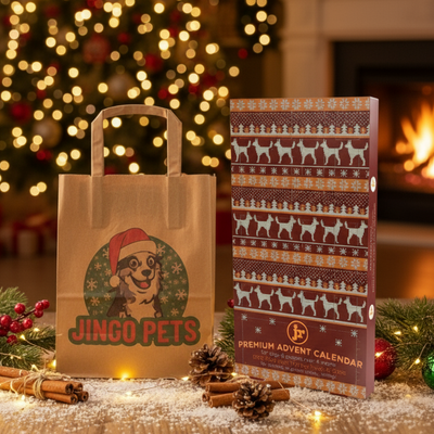 Jingo Pets paper bag and Advent calendar on a festive background with cinnamon sticks and pine cones.
