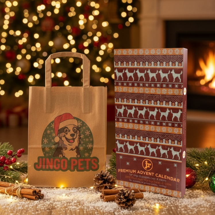 Jingo Pets paper bag and Advent calendar on a festive background with cinnamon sticks and pine cones.