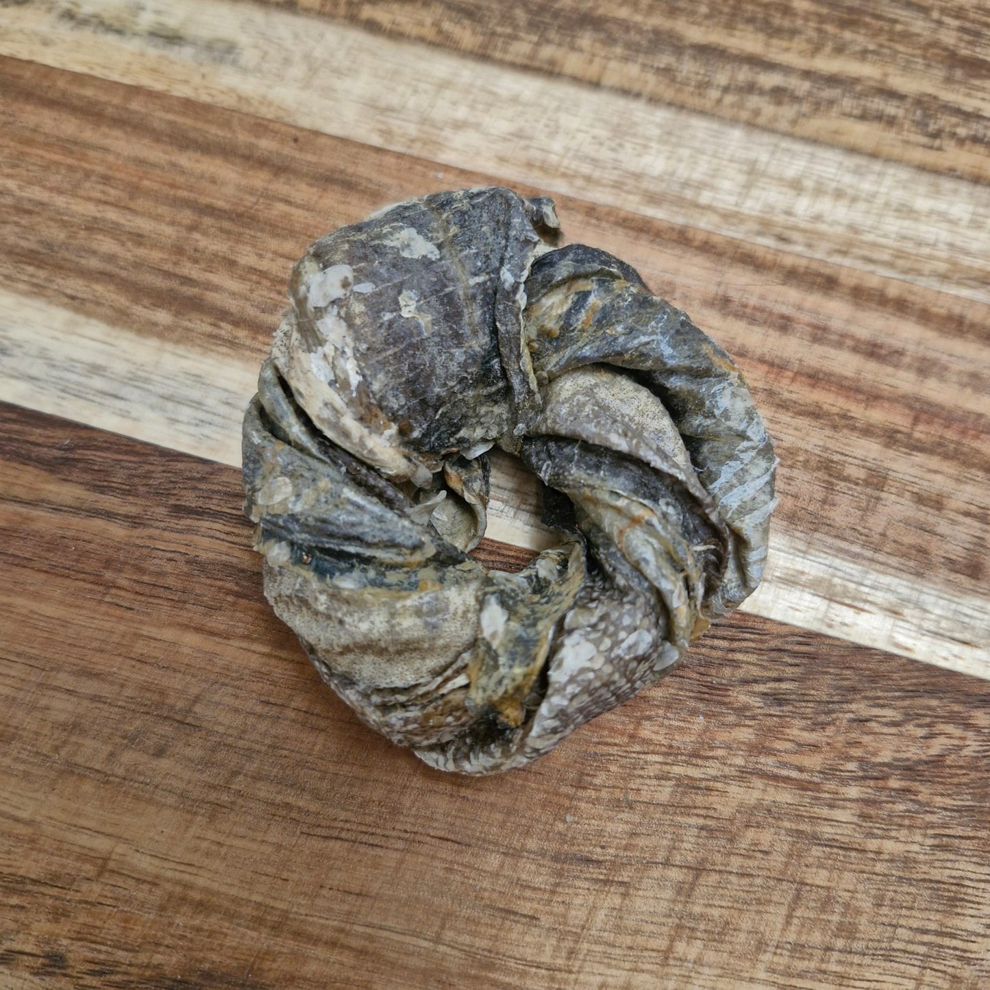 Air-dried cod skin rings rich in omega-3