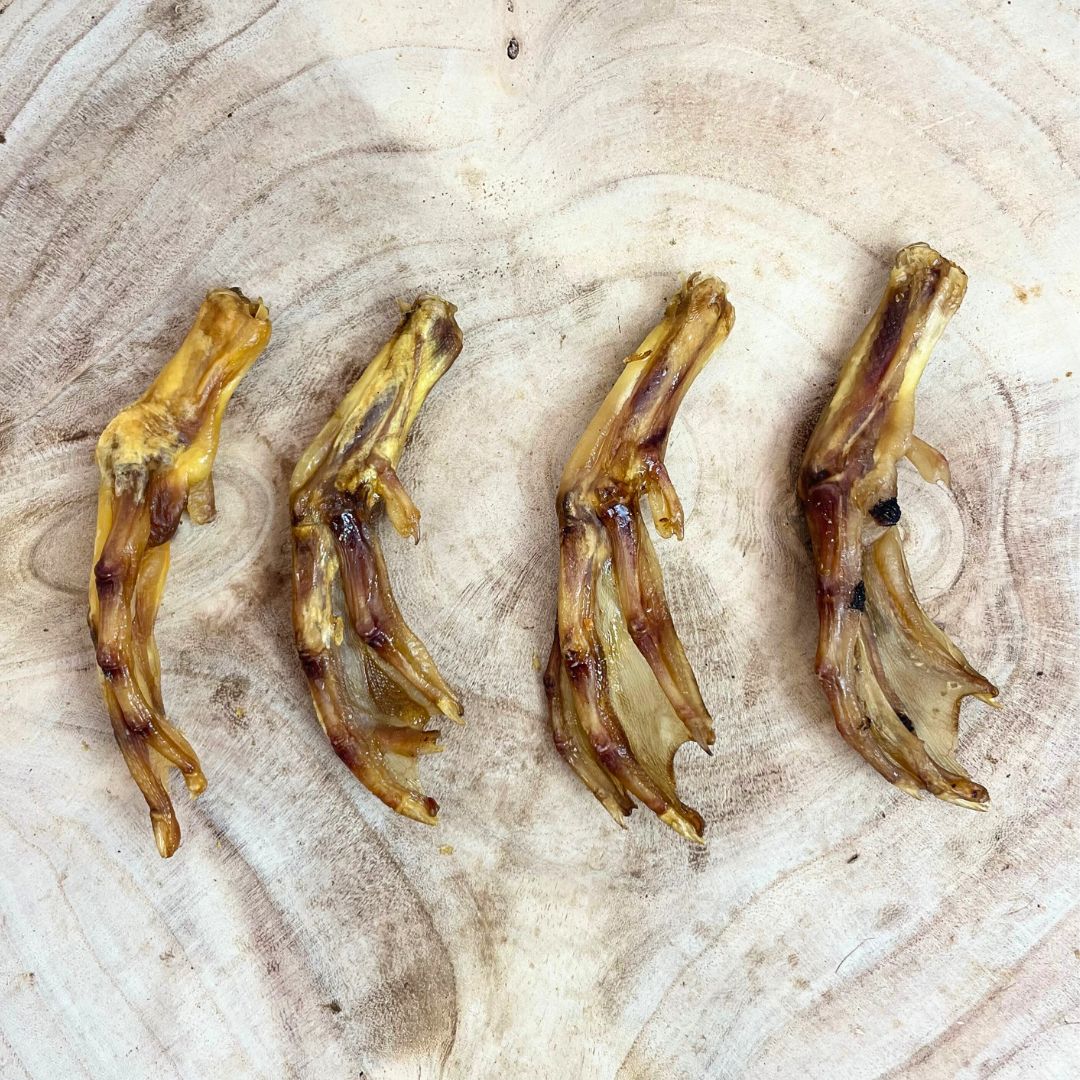 Natural dried duck feet dog treats – crunchy single-protein chew