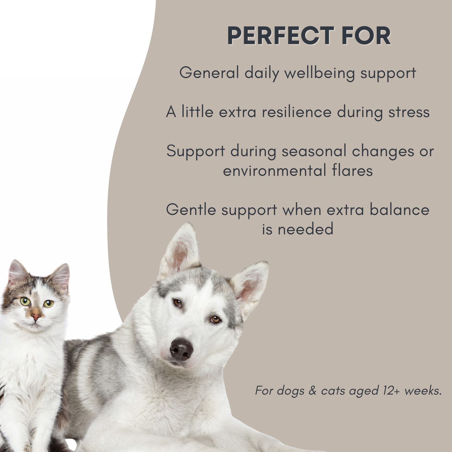 Two dogs and a cat with text about product benefits on a beige background