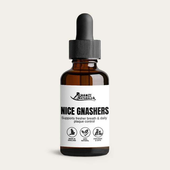 nice gnashers teeth tincture by shanzi naturals