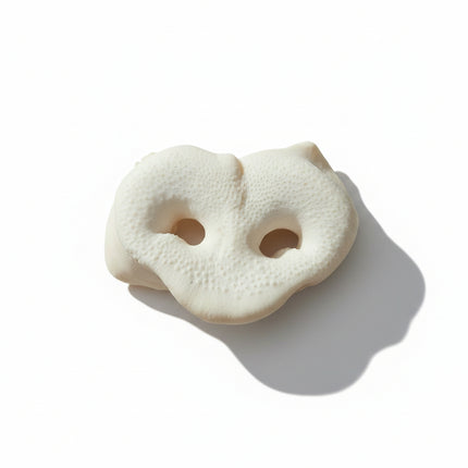puffed pig snout dog treat
