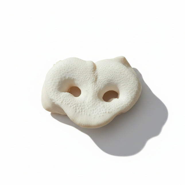 puffed pig snout dog treat