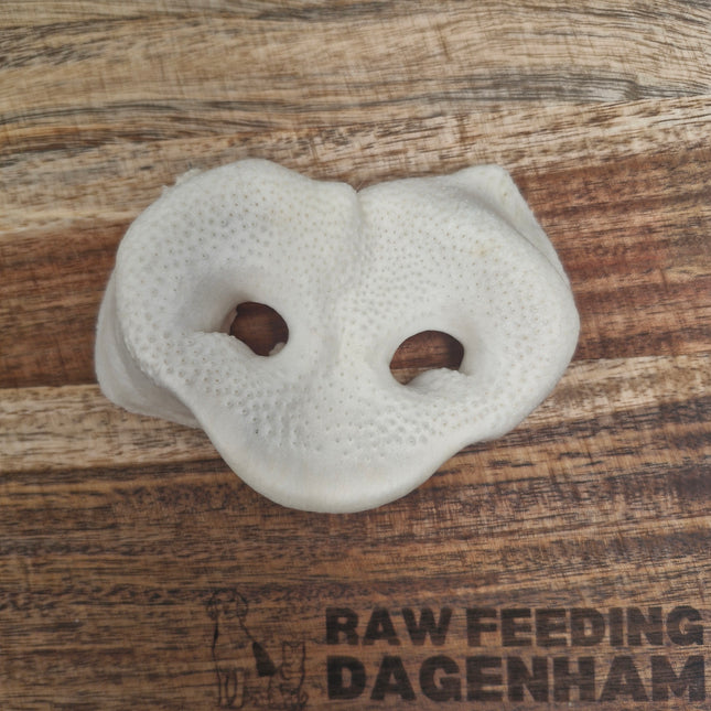 Puffed Pig Snout