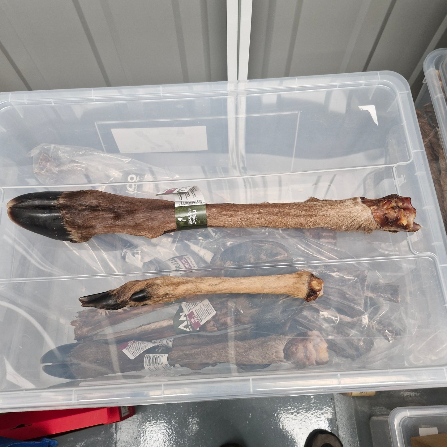 Anco Naturals Giant Deer Leg