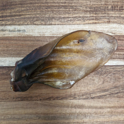 Dried Cow Ear