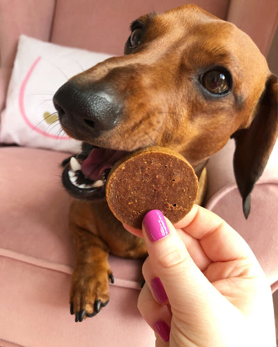 Jr Pure Turkey Coins (sold as singles)