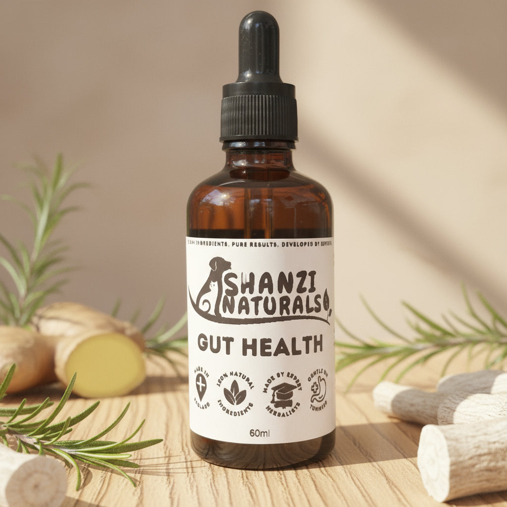 Bottle of shanzi Naturals Gut Health supplement on a wooden surface