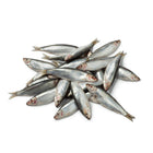 Sprats - 1KG