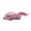 Whole Quail - Pack of 2
