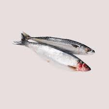 Herring - 1kg
